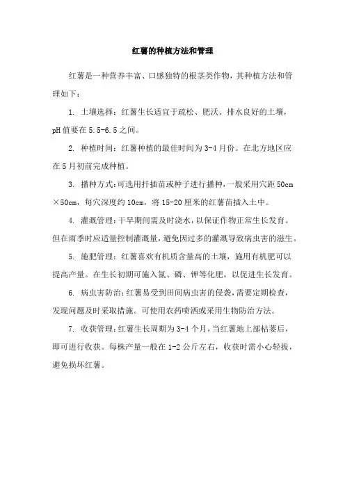 红薯的种植方法和管理