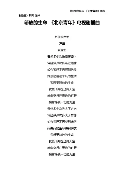 《怒放的生命 《北京青年》电视剧插曲》歌词 汪峰