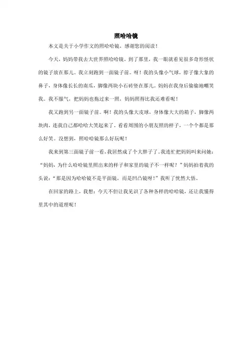 照哈哈镜_小学作文_7