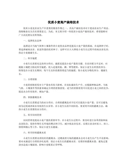 优质小麦高产栽培技术