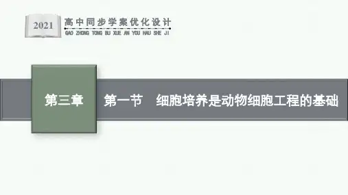 生物选择性必修三生物技术与工程第三章动物细胞工程【1】细胞培养是动物细胞工程的基础