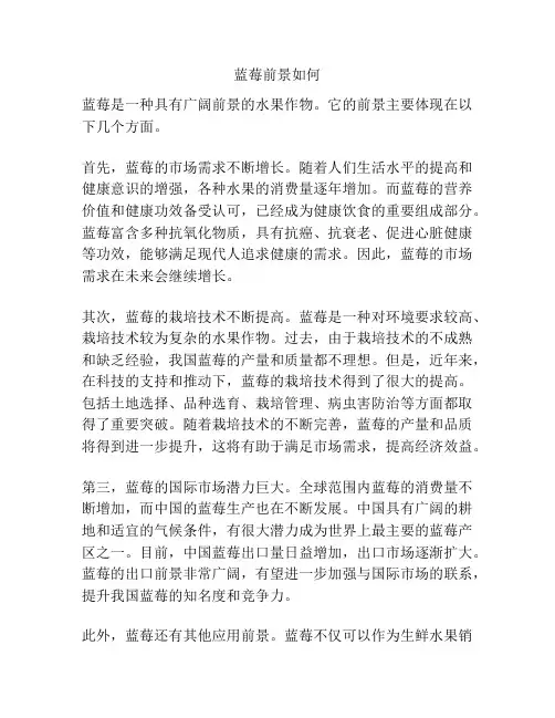 蓝莓前景如何
