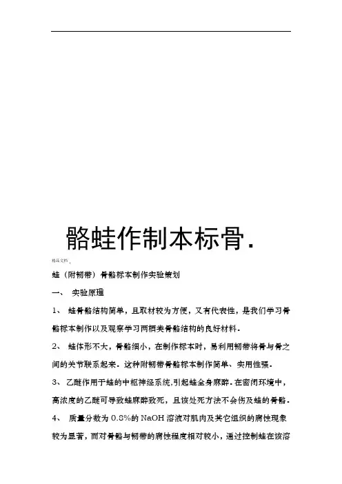 蛙骨骼标本制作资料讲解