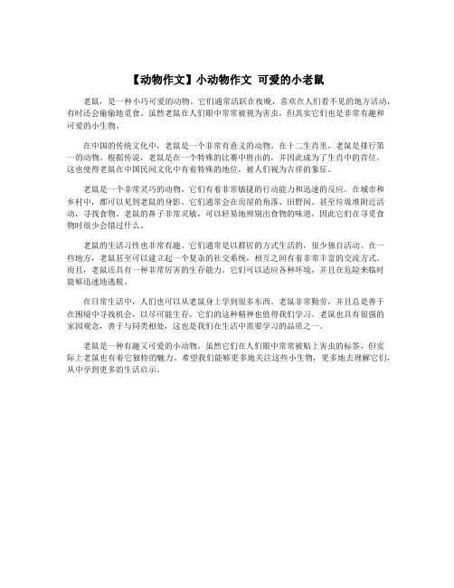 【动物作文】小动物作文 可爱的小老鼠