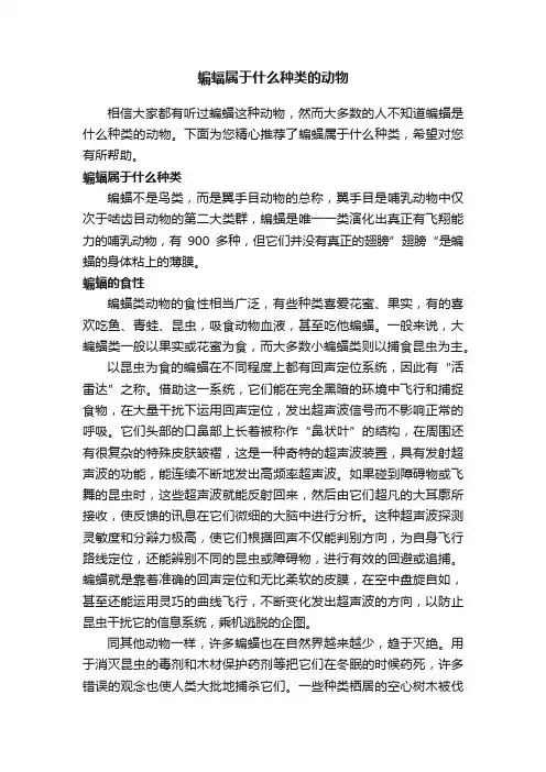 蝙蝠属于什么种类的动物