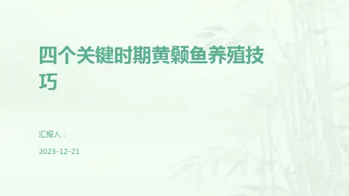 四个关键时期黄颡鱼养殖技巧