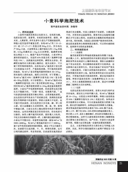 小麦科学施肥技术