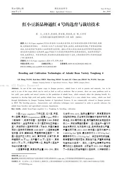 红小豆新品种通红4号的选育与栽培技术