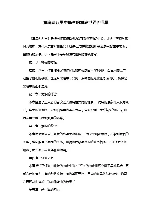 海底两万里中每章的海底世界的描写