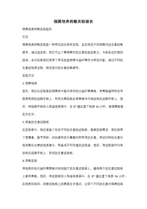 细菌培养药敏实验报告