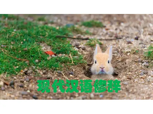 (完整版)现代汉语修辞