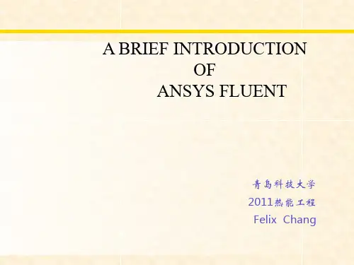 FLUENT 简介
