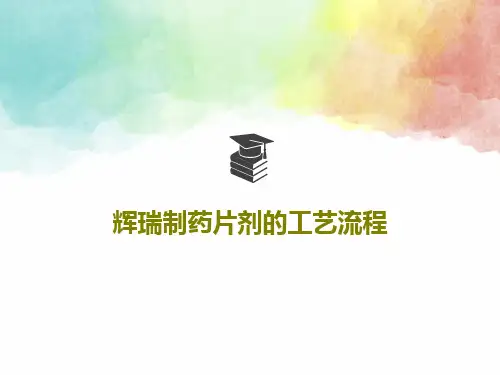 辉瑞制药片剂的工艺流程28页PPT