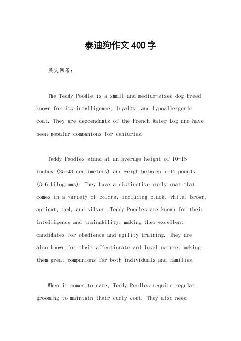 泰迪狗作文400字