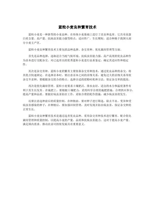 蓝粒小麦良种繁育技术