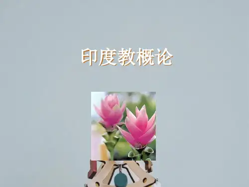 第6讲印度教概述