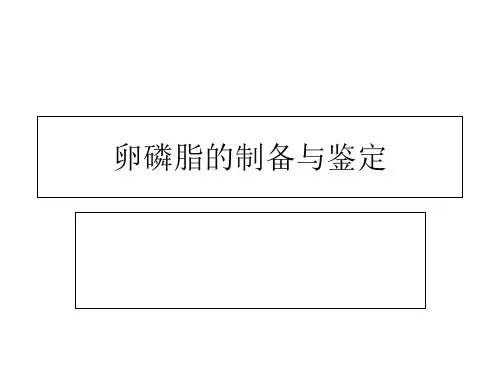 卵磷脂的制备与鉴定ppt课件