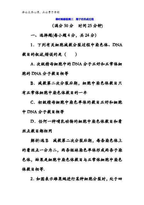 2017-2018学年高中生物二3精子的形成过程含答案