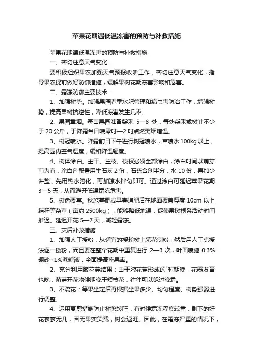 苹果花期遇低温冻害的预防与补救措施