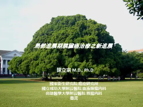 局部进展期胰腺癌治疗新进展-2009CSCO年会