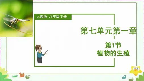 全国优质课一等奖初中生物八年级下册《植物的生殖》(公开课课件)