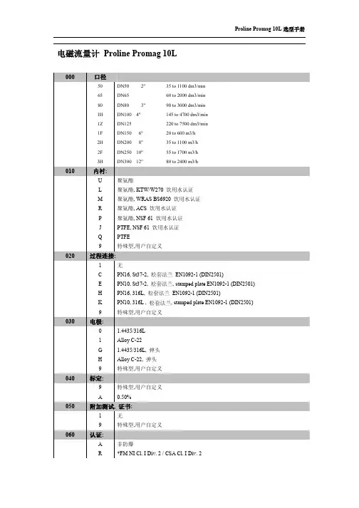 E&H电磁流量计10L_Order Code.