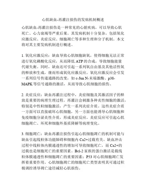 心肌缺血-再灌注损伤的发病机制概述
