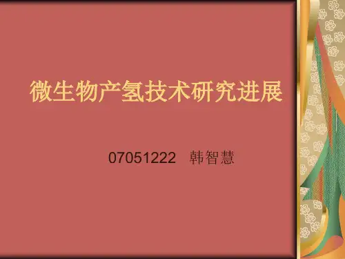 微生物产氢技术研究进展