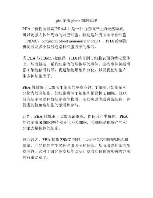 pha刺激pbmc细胞原理