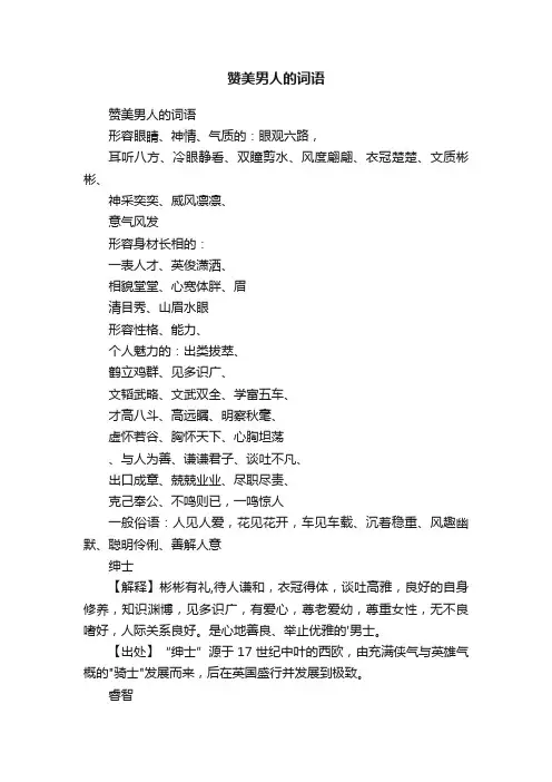 赞美男人的词语