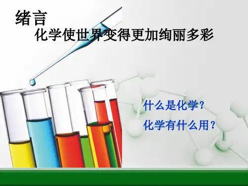鲁教版九年级化学《1绪言》课件