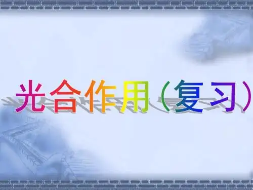 光合作用说课课件