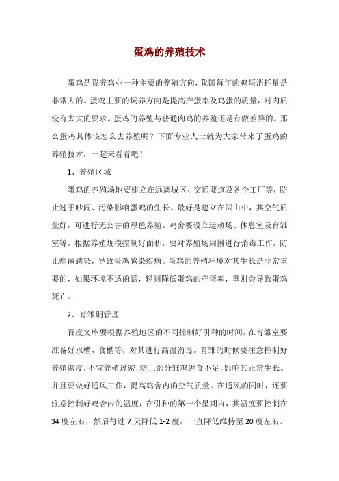 蛋鸡的养殖技术