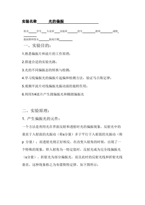大物实验光的偏振实验报告