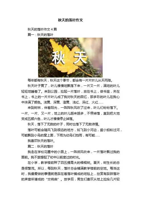 秋天的落叶作文