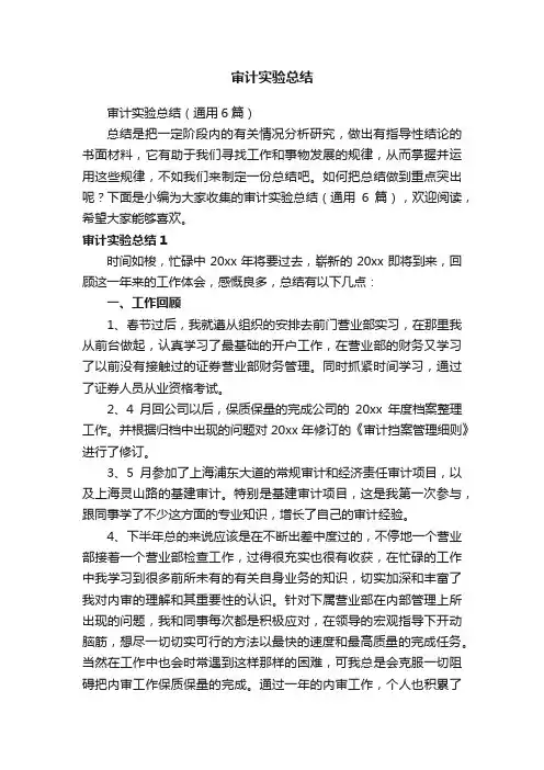 审计实验总结
