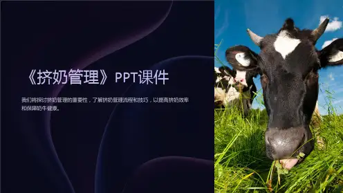 《挤奶管理》课件