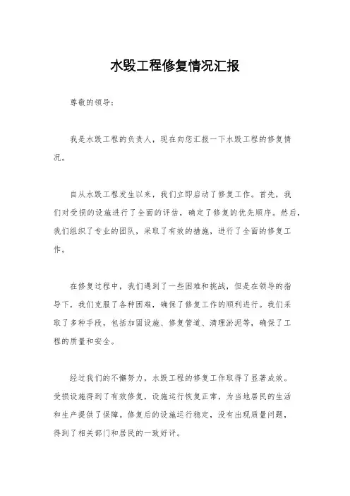 水毁工程修复情况汇报