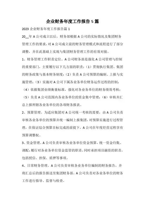 企业财务年度工作报告