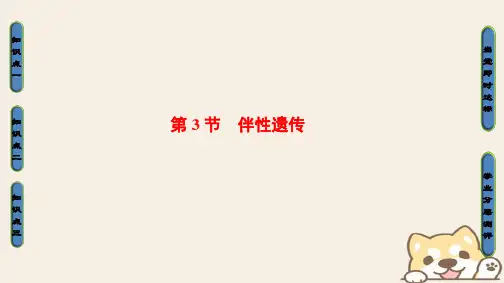 高中生物第二章基因和染色体的关系第3节伴性遗传课件新人教版必修