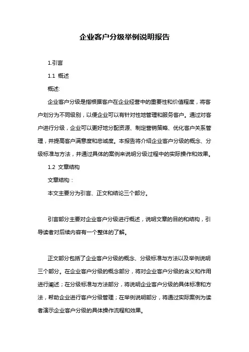 企业客户分级举例说明报告