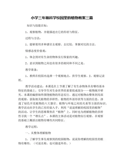 小学三年级科学校园里的植物教案三篇