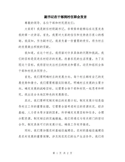 副书记在干部到村任职会发言