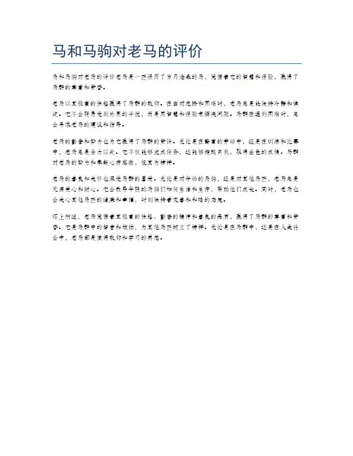 马和马驹对老马的评价