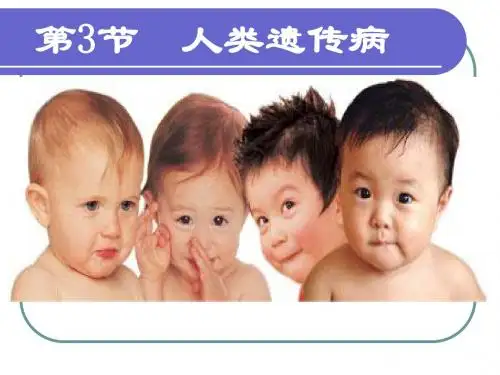生物高中必修2第五章第三节课件1