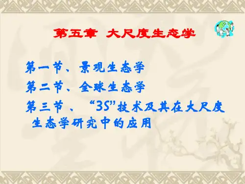 大尺度