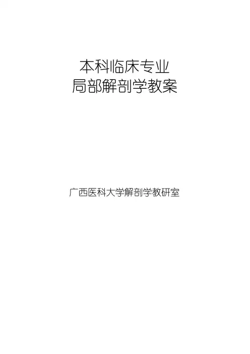 本科局部解剖学教案