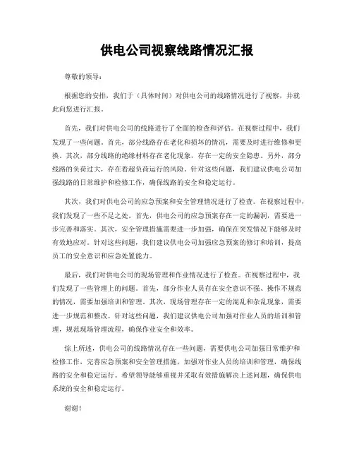 供电公司视察线路情况汇报