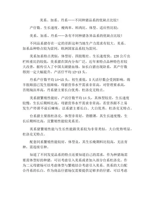 美系、加系、丹系……不同种猪品系的优缺点比较!