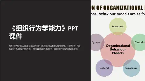 《组织行为学能力》课件